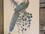 a painting of a bird on display in a glass case