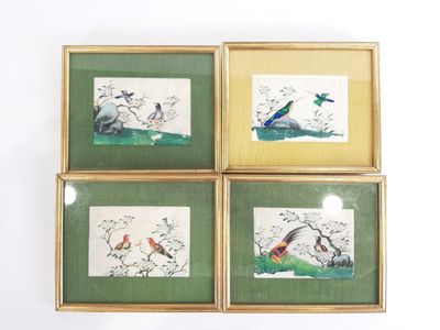 trois tableaux représentant des oiseaux et des fleurs, accrochés à un mur blanc