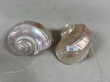 une paire de coquillages en argent exposés dans un magasin