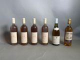 six bouteilles de vin posées les unes à côté des autres sur une table