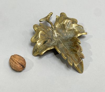 a gold leaf and a walnut on a white surface