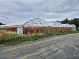 une photo d'une grande serre remplie de nombreuses plantes