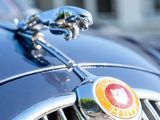 a close up of the emblem on the front of a car