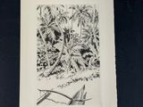 une image d'un dessin en noir et blanc d'un oiseau sur une branche