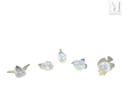 four different types of ear piercings are shown on a white background