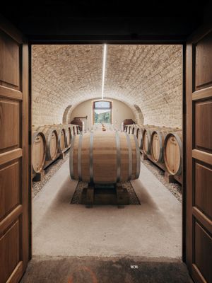 many barrels of wine sitting in a wine cellar