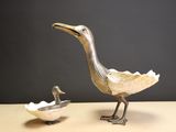 a bird and a duck that are standing next to each other
