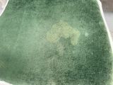 a green area on the floor of a room