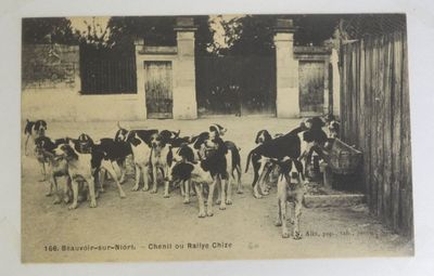 beaucoup de chiens qui se trouvent devant un immeuble