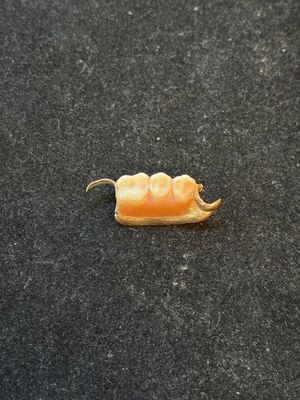 a small piece of food that is sitting on the ground