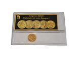 an image of a gold coin in a clear plastic holder