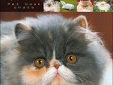a picture of a cat that is sitting on a table