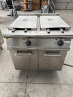 Friteuse professionnelle double Bac Electrolux en ions.