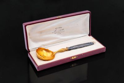 a gold spoon in a purple box on a black surface
