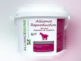 un seau blanc contenant une potion de réputation de l'Alliance, sur fond rose