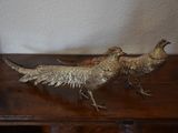 two birds that are standing on a wooden table