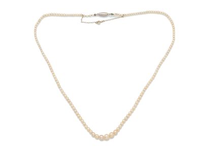un collier de perles blanches avec un fermoir en argent sur fond blanc