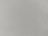 a black and white photo of a plane flying in the sky