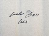 an image of a close up of a person ' s handwriting on a piece of cloth