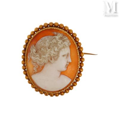 l'image du profil d'une femme sur une broche