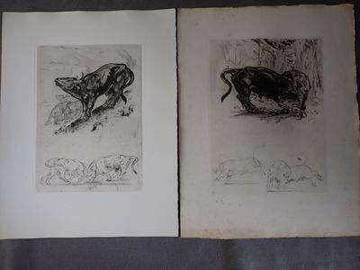 deux dessins représentant un chien et un chat allongés sur un lit