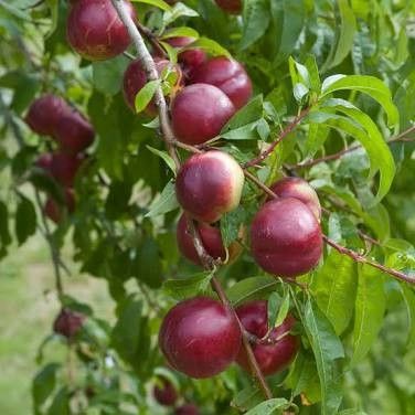 Destockage & Invendus