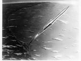 photographie en noir et blanc d'un avion survolant l'océan