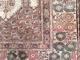 an image of a rug on the floor with a cat laying on it