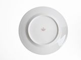 a white plate with a red design on it