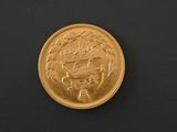 an image of a gold coin sitting on top of a black surface