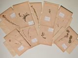 six enveloppes de pressé pressé pressé pressé pressé pressé pressé pressé pressé pressé pressé pressé pressé pressé pressé pressé pressé pressé pressé pressé pressé pressé pressé pressé pressé pressé pressé pressé pressé pressé pressé pressé pressé pressé pressé pressé pressé pressé pressé pressé pressé pressé pressé pressé pressé pressé pressé pressé pressé pressé pressé pressé pressé pressé pressé pressé pressé pressé pressé pressé pressé pressé pressé pressé pressé pressé pressé pressé pressé pressé pressé pressé pressé pressé pressé pressé pressé pressé pressé pressé pressé pressé pressé pressé pressé press