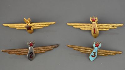 Insigne de pilote-navigateur de 1er, 2e, 3e classe et sans c…