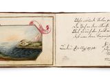 an open book with a picture of a bird in a bowl on top of it