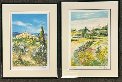 deux tableaux encadrés représentant un paysage désertique avec des arbres et des buissons
