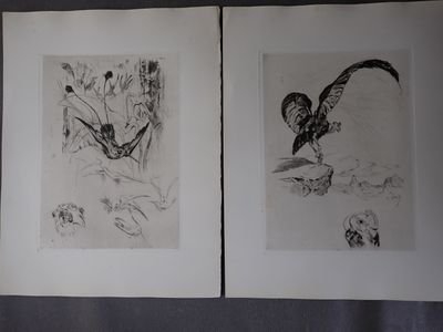 deux dessins en noir et blanc représentant des oiseaux sur fond noir