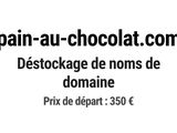 Photo 1/1 du lot