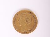 l'image d'une pièce d'or sur laquelle figure l'image d'un homme