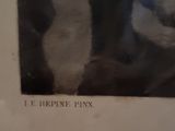 a black and white photo of a cat in a picture frame