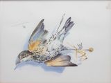 un dessin représentant un oiseau avec une araignée sur le dos