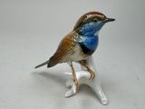 a small blue and brown bird sitting on a branch