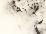 a drawing of a dog in the snow on a piece of paper