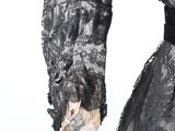 an image of a woman in a black dress with lace on it