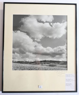 photographie en noir et blanc d'un champ avec des nuages dans le ciel