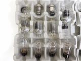 many bulbs in a plastic container on a white surface