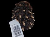 a small ball of dried grass with a price tag on it