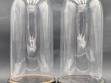 pair of glass cloches with wooden base and wooden base