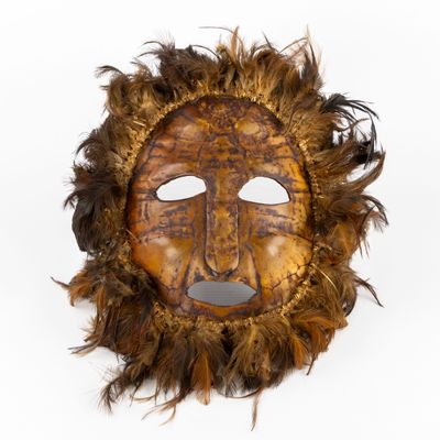 an image of a mask with feathers on it on a white background