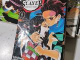demon slayer vol 1 and demon slayer vol 2