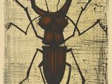 Photo 2/5 du lot