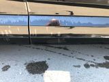 a reflection of a bear on the side of a car